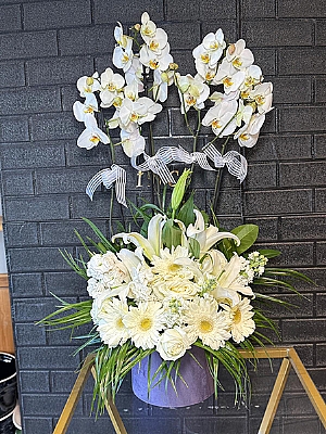 4 Dal Beyaz Orkide ve Gergeberalar